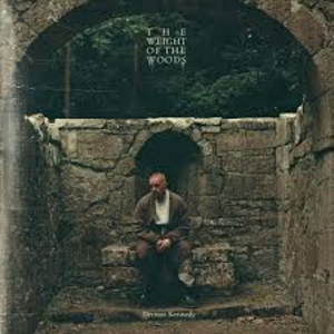 Dermot Kennedy - The Weight of the Woods album cover